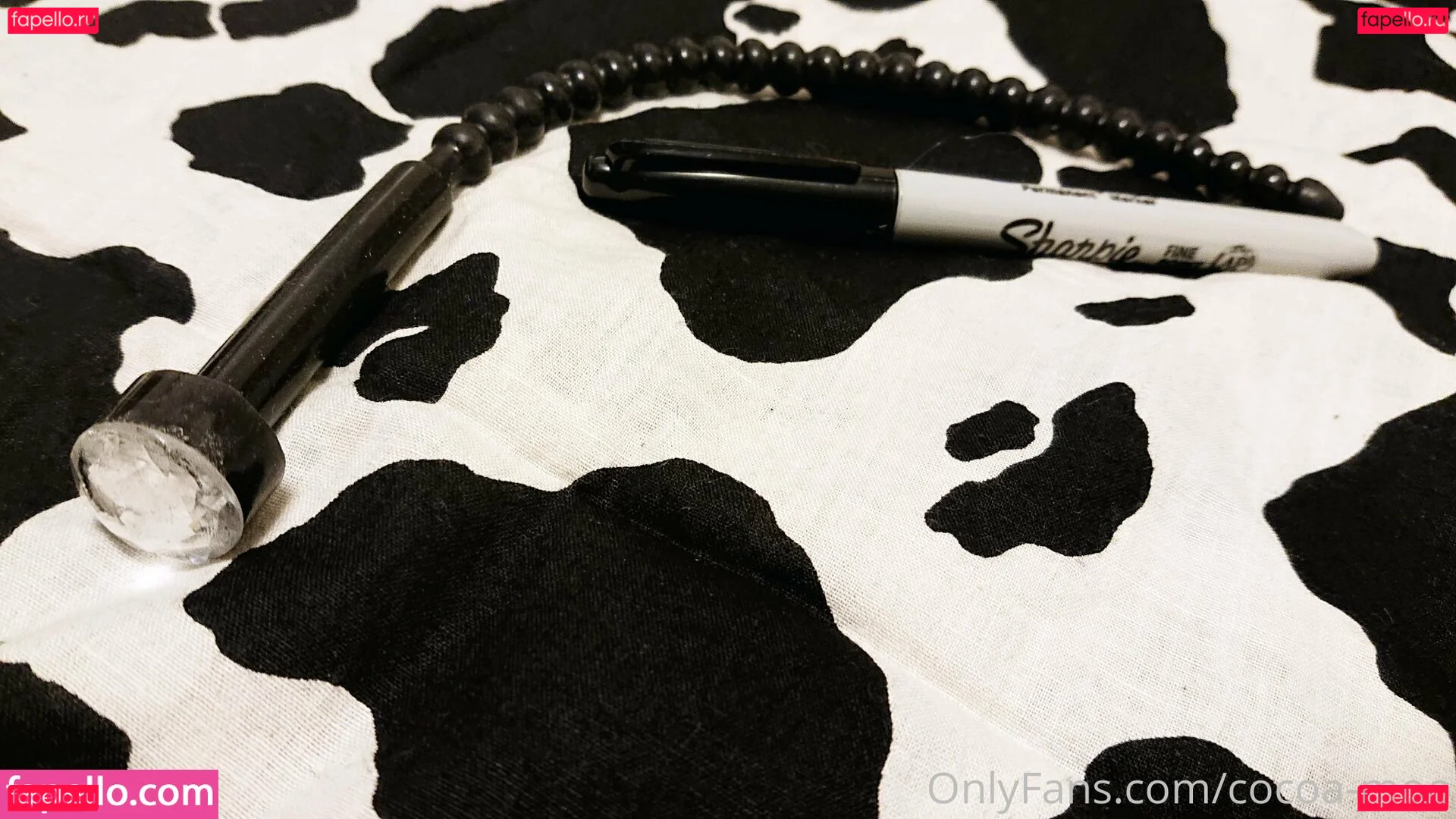 Casey.Mae Onlyfans Photo Gallery 