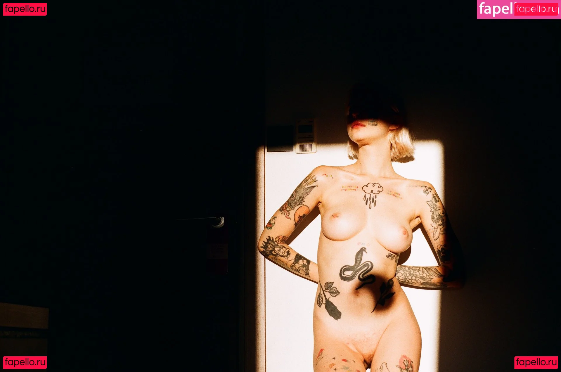 swiitacid Onlyfans Photo Gallery 