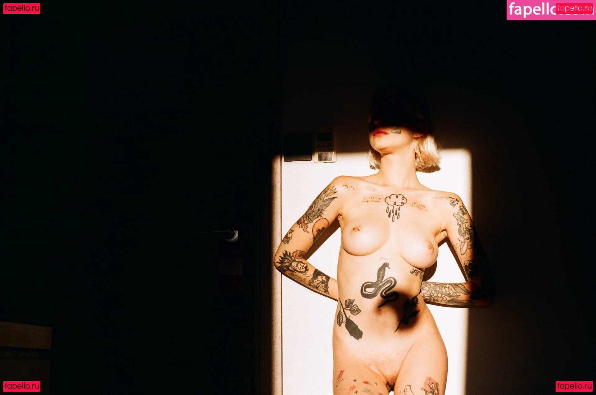 swiitacid Onlyfans Photo Gallery 