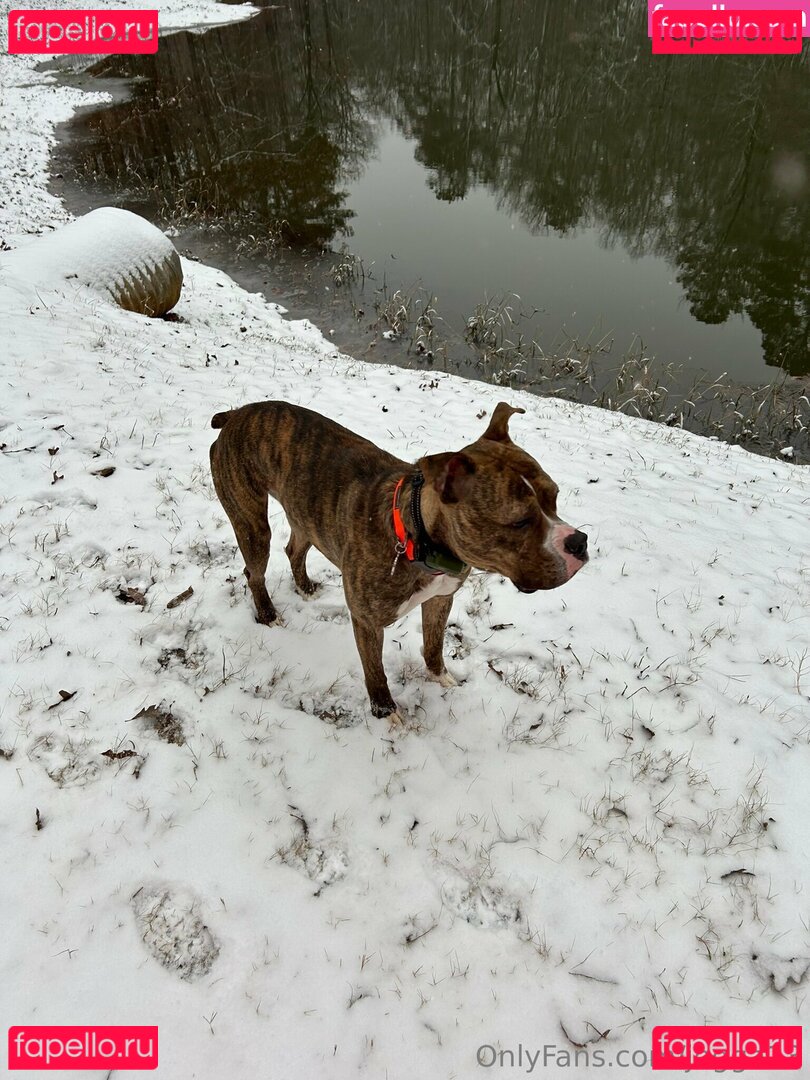 jegga13 Onlyfans Photo Gallery 