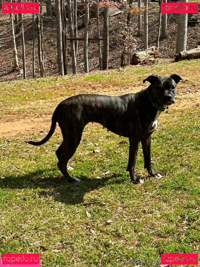 jegga13 Onlyfans Photo Gallery 