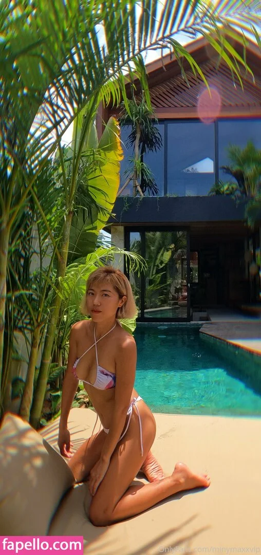 Minymaxxvip Onlyfans Photo Gallery 