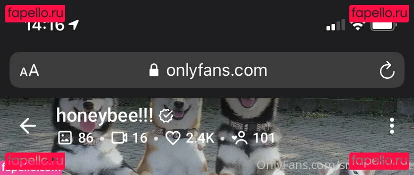 snakefoxbox Onlyfans Photo Gallery 