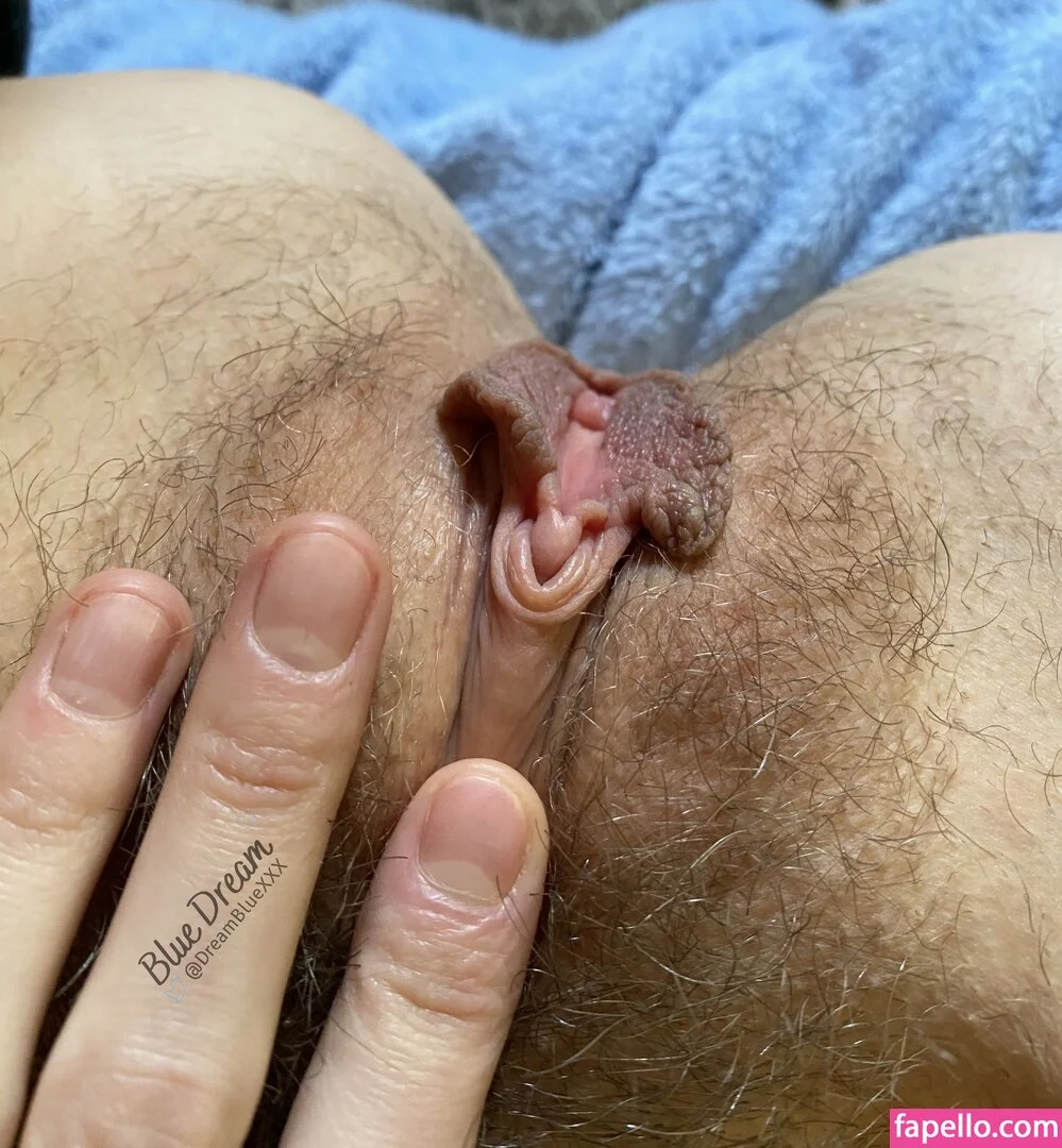 bluedream Onlyfans Photo Gallery 