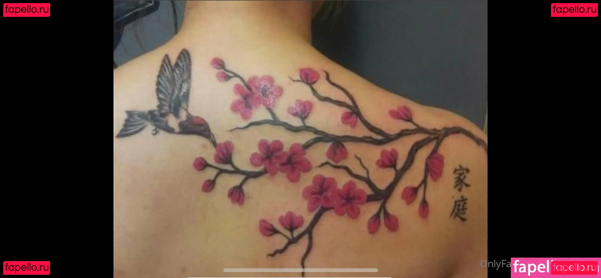 mncookies Onlyfans Photo Gallery 