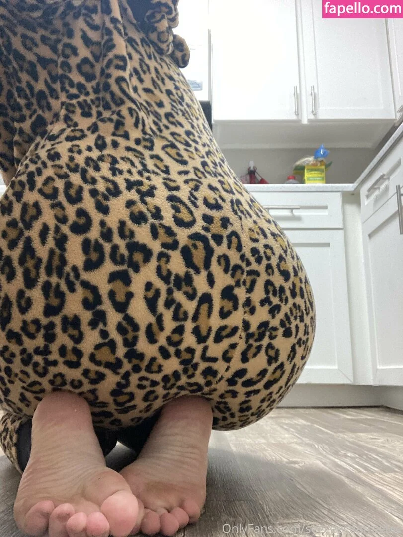 seeceeceefreebie Onlyfans Photo Gallery 