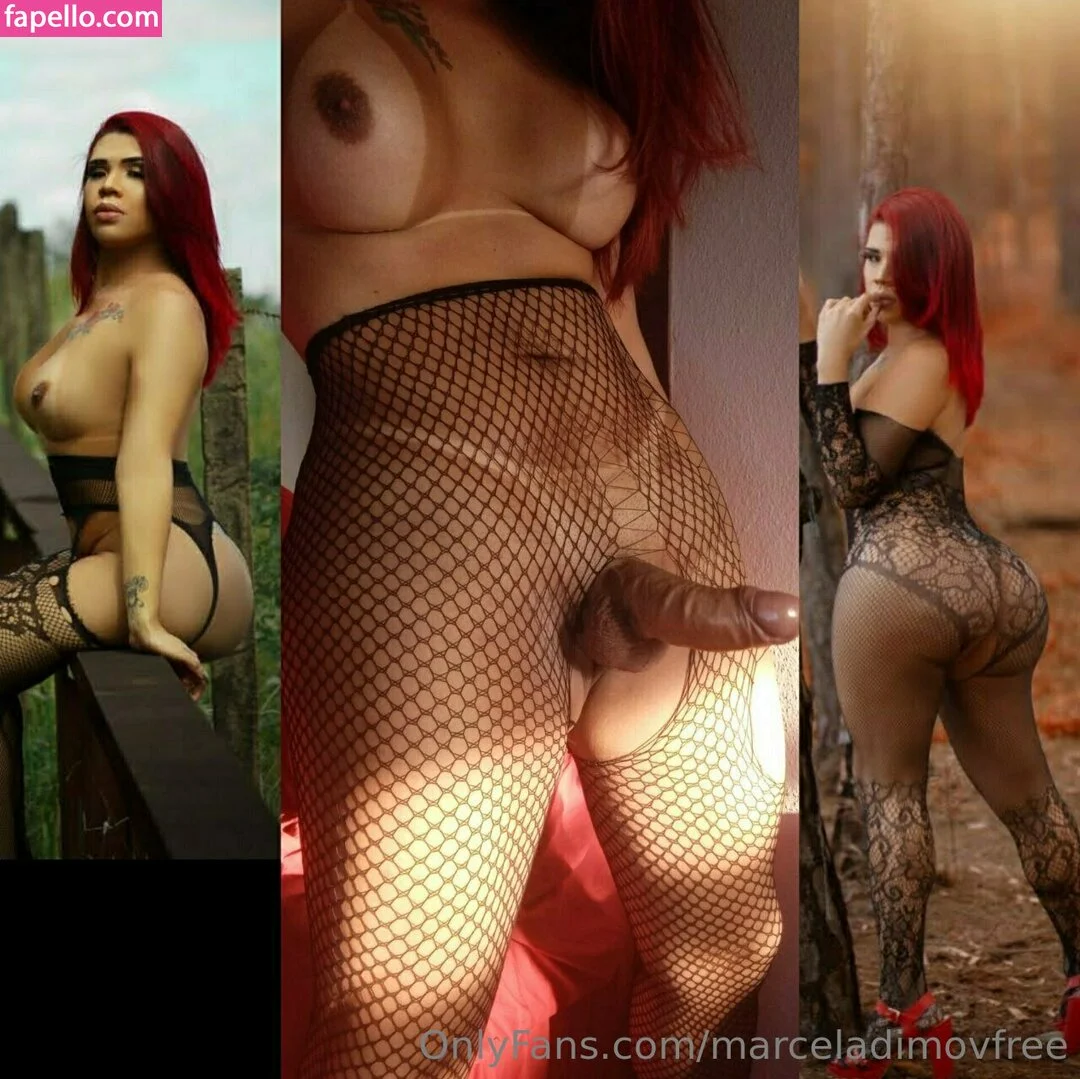 marceladimovfree Onlyfans Photo Gallery 