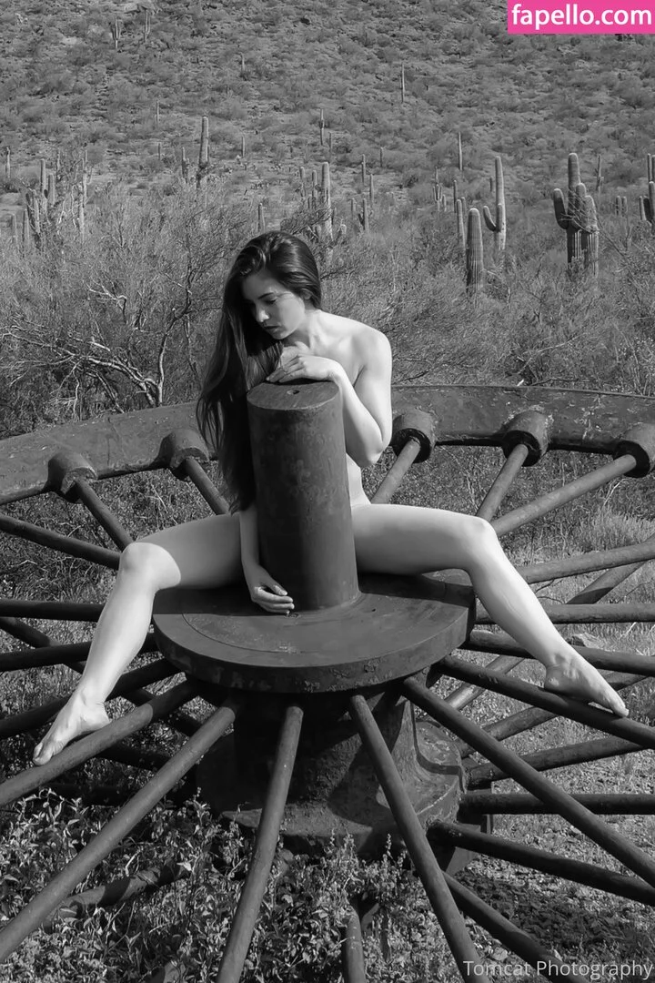 tomcat_photography Onlyfans Photo Gallery 