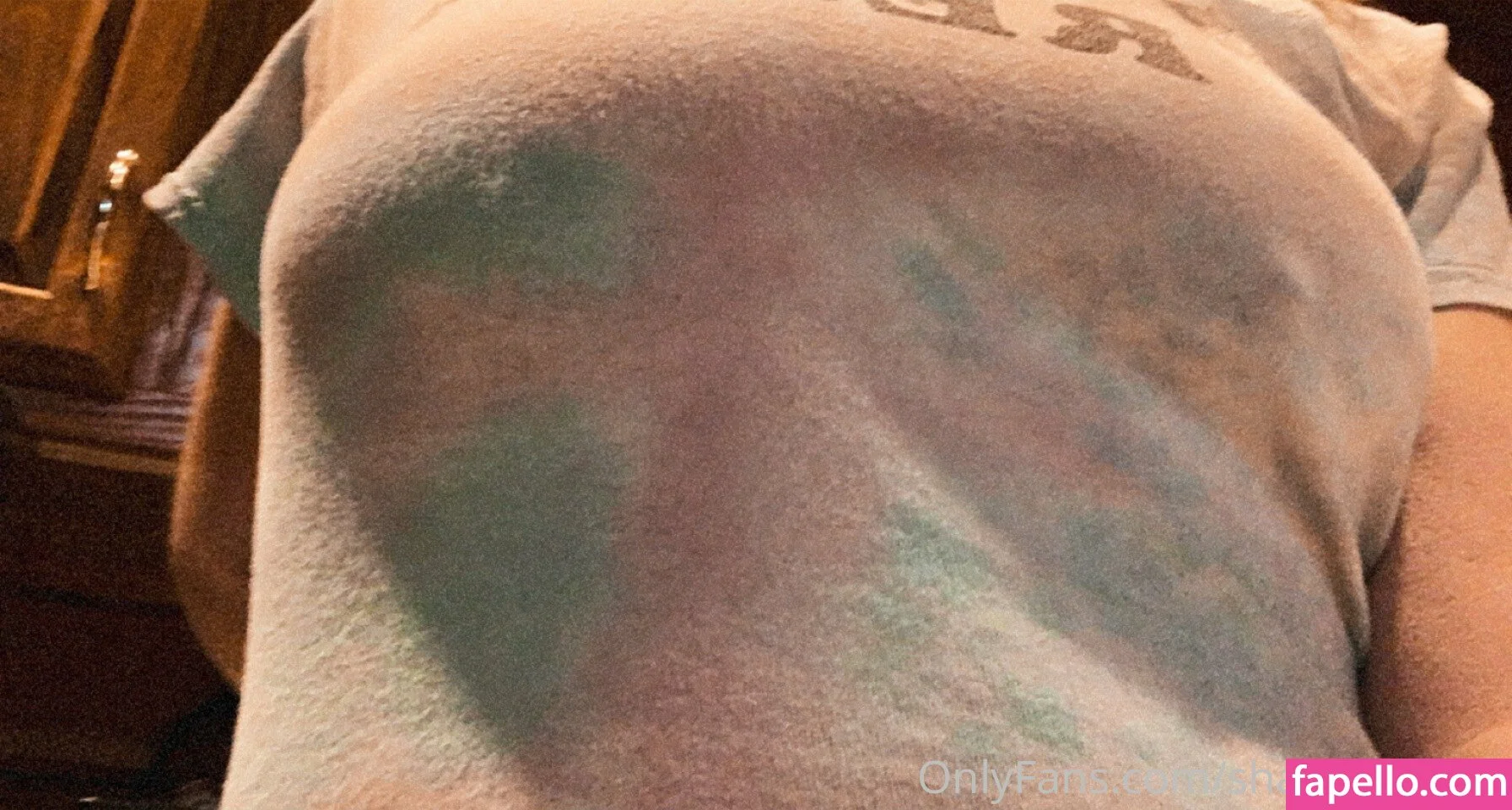 shapefulshan Onlyfans Photo Gallery 