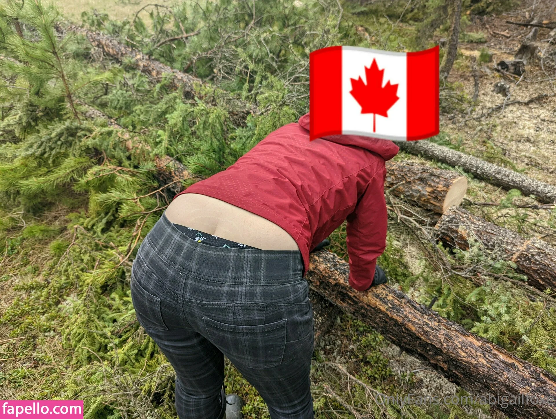 abigailfoxe Onlyfans Photo Gallery 