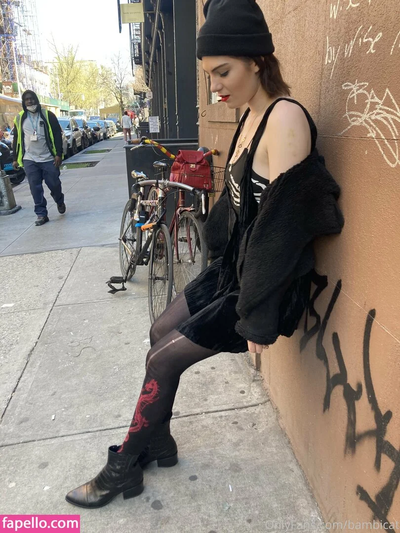 bambicat Onlyfans Photo Gallery 