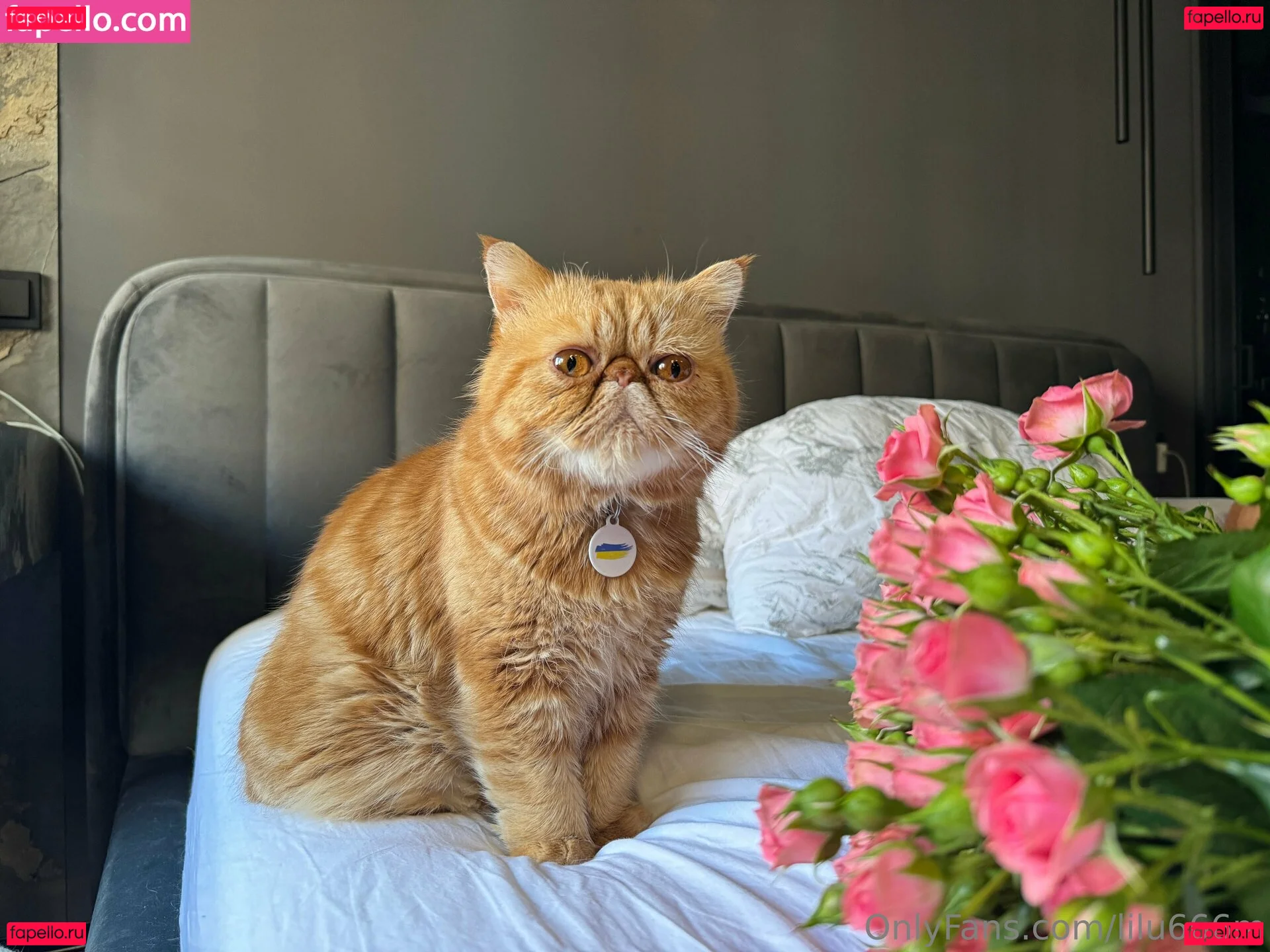 lil_mayaa Onlyfans Photo Gallery 