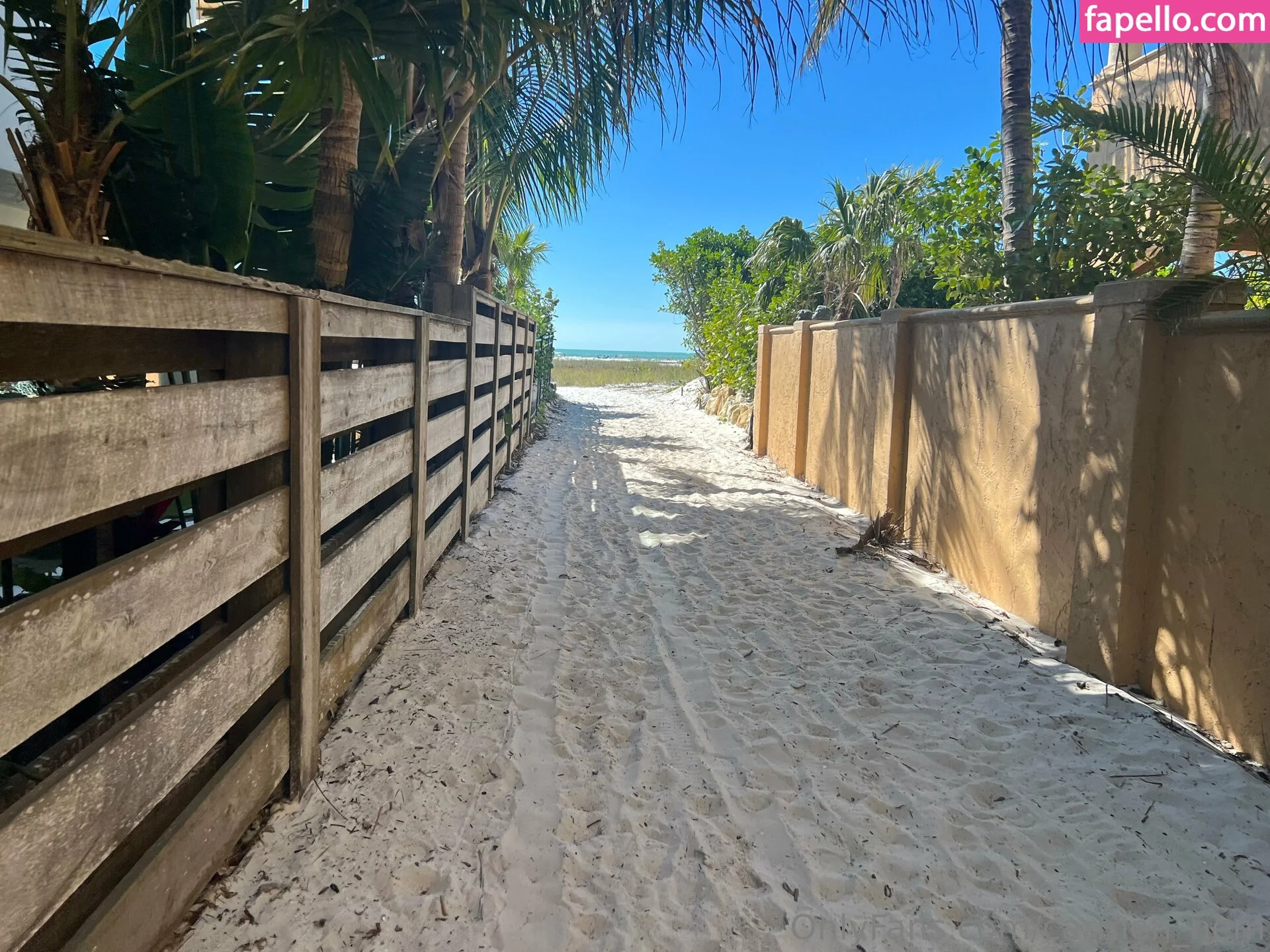 carmen_nem Onlyfans Photo Gallery 