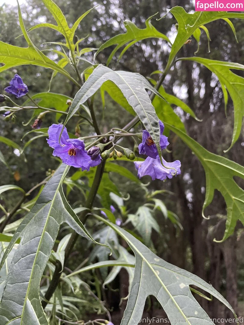 janey_uncovered Onlyfans Photo Gallery 