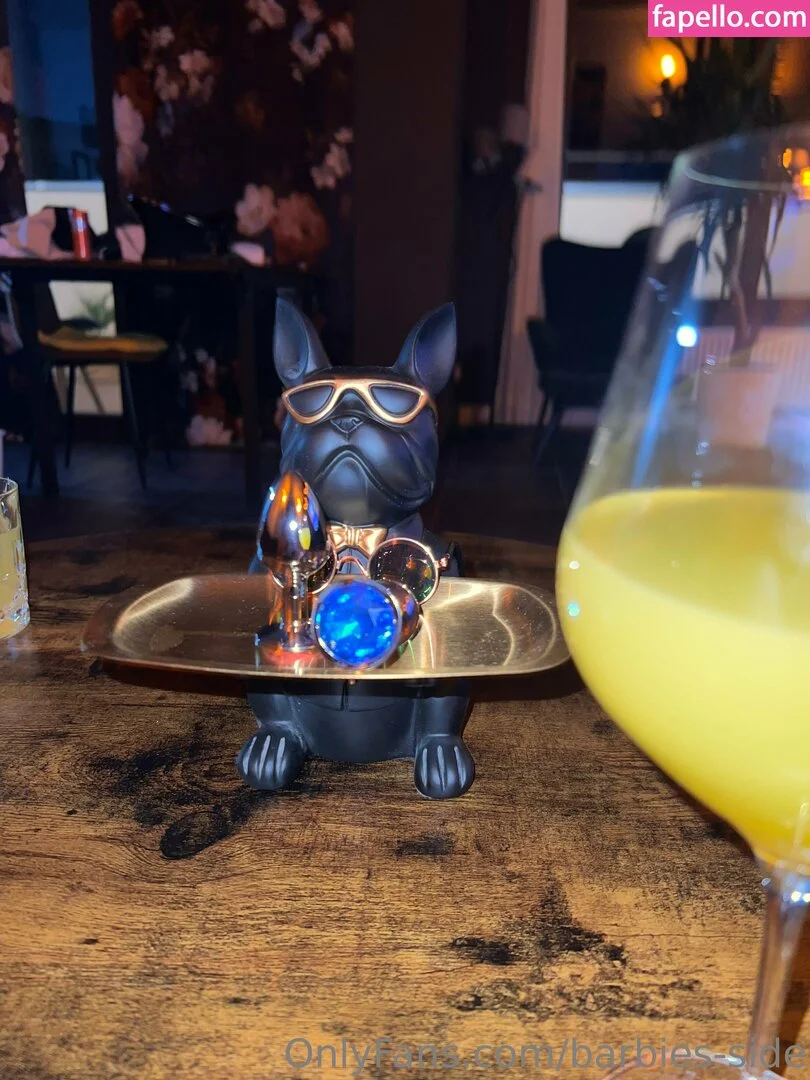 barbies-side Onlyfans Photo Gallery 