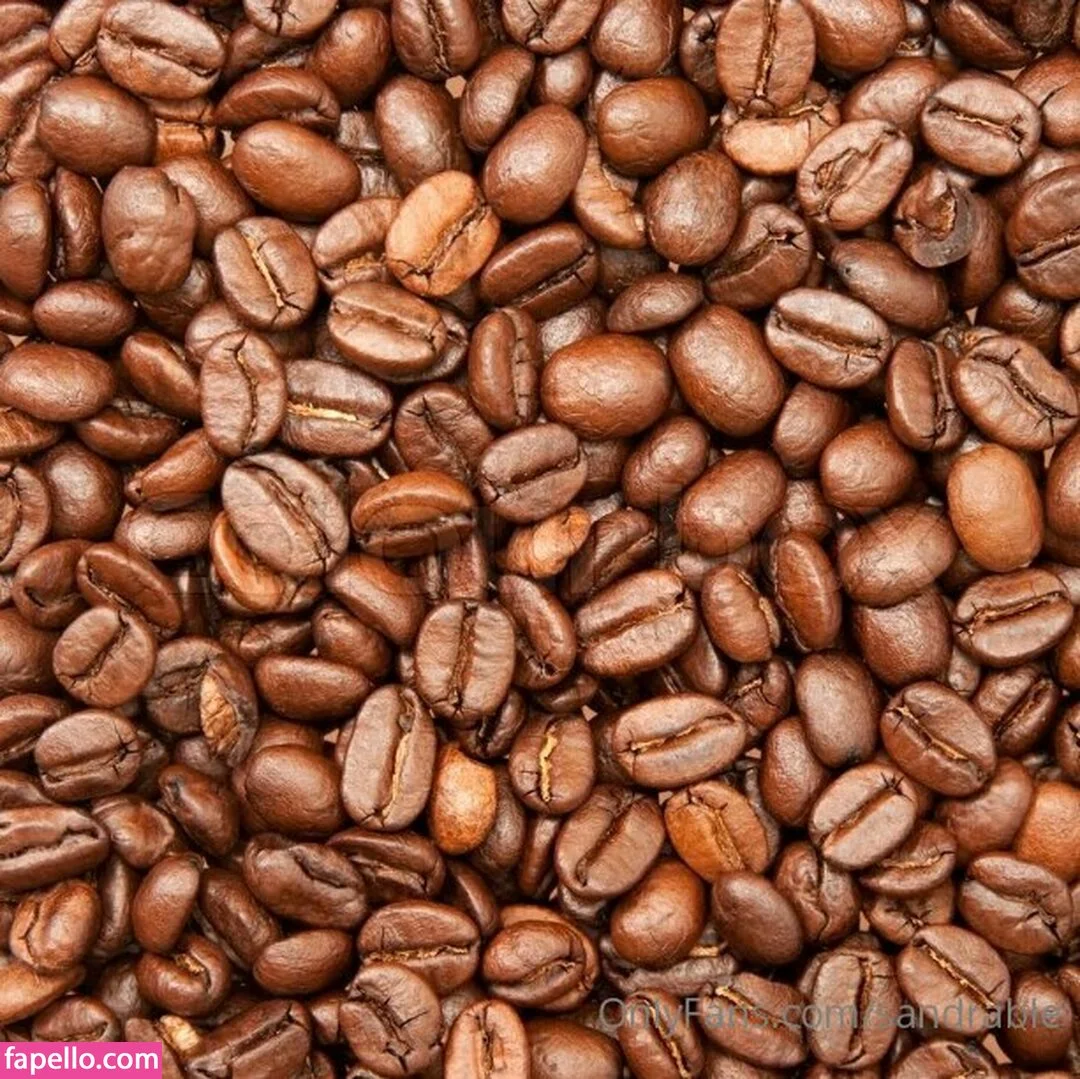 sandrable Onlyfans Photo Gallery 