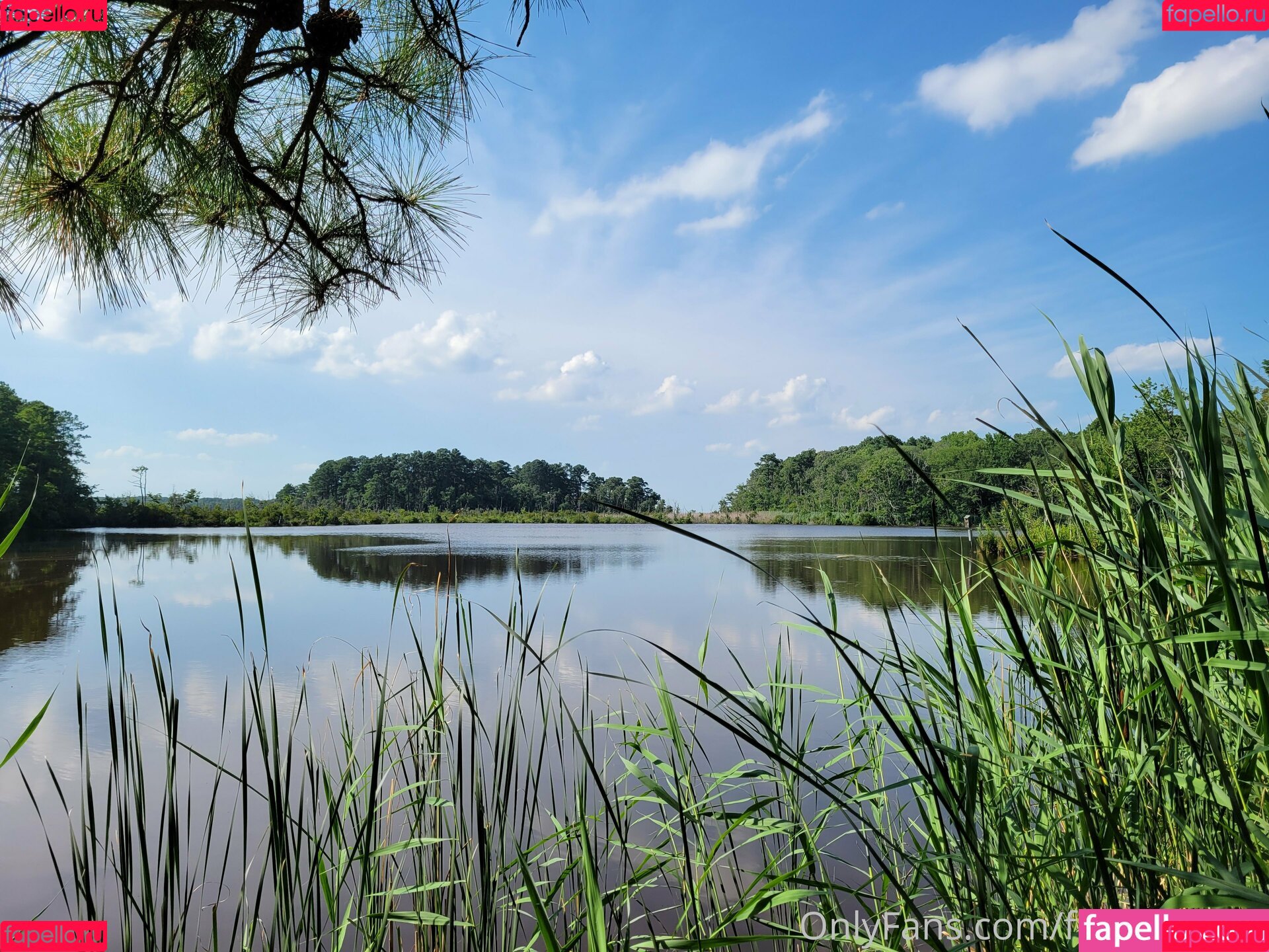 gingerhippie74 Onlyfans Photo Gallery 