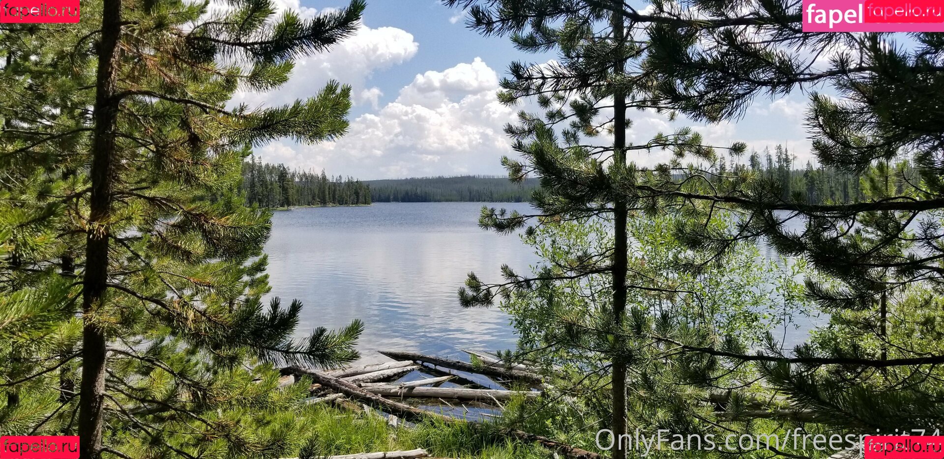 gingerhippie74 Onlyfans Photo Gallery 