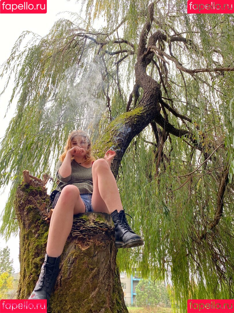 sunflowerseedling Onlyfans Photo Gallery 