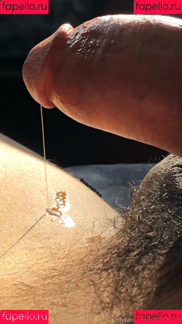 cactsdrms Onlyfans Photo Gallery 