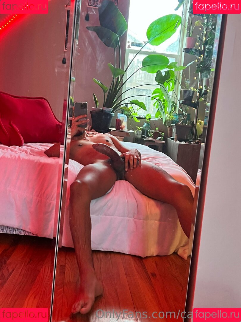 cactsdrms Onlyfans Photo Gallery 