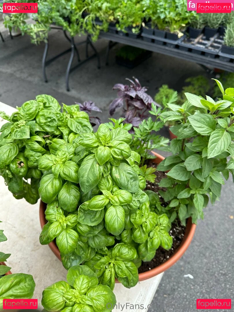 irisinthekitchen Onlyfans Photo Gallery 