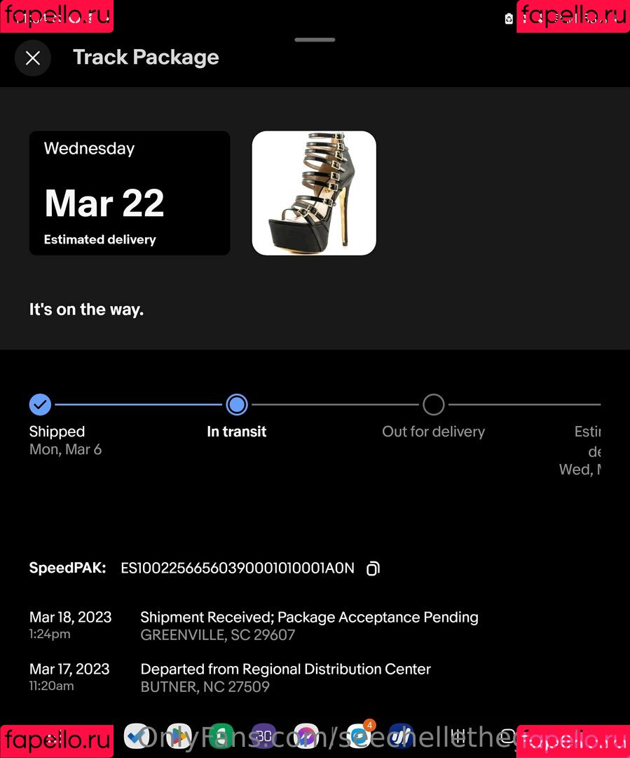 seechellethegoddess Onlyfans Photo Gallery 