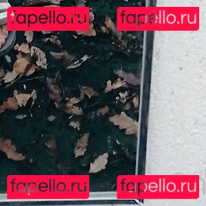 andrewad Onlyfans Photo Gallery 