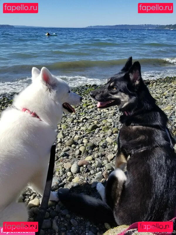 raina_traina Onlyfans Photo Gallery 