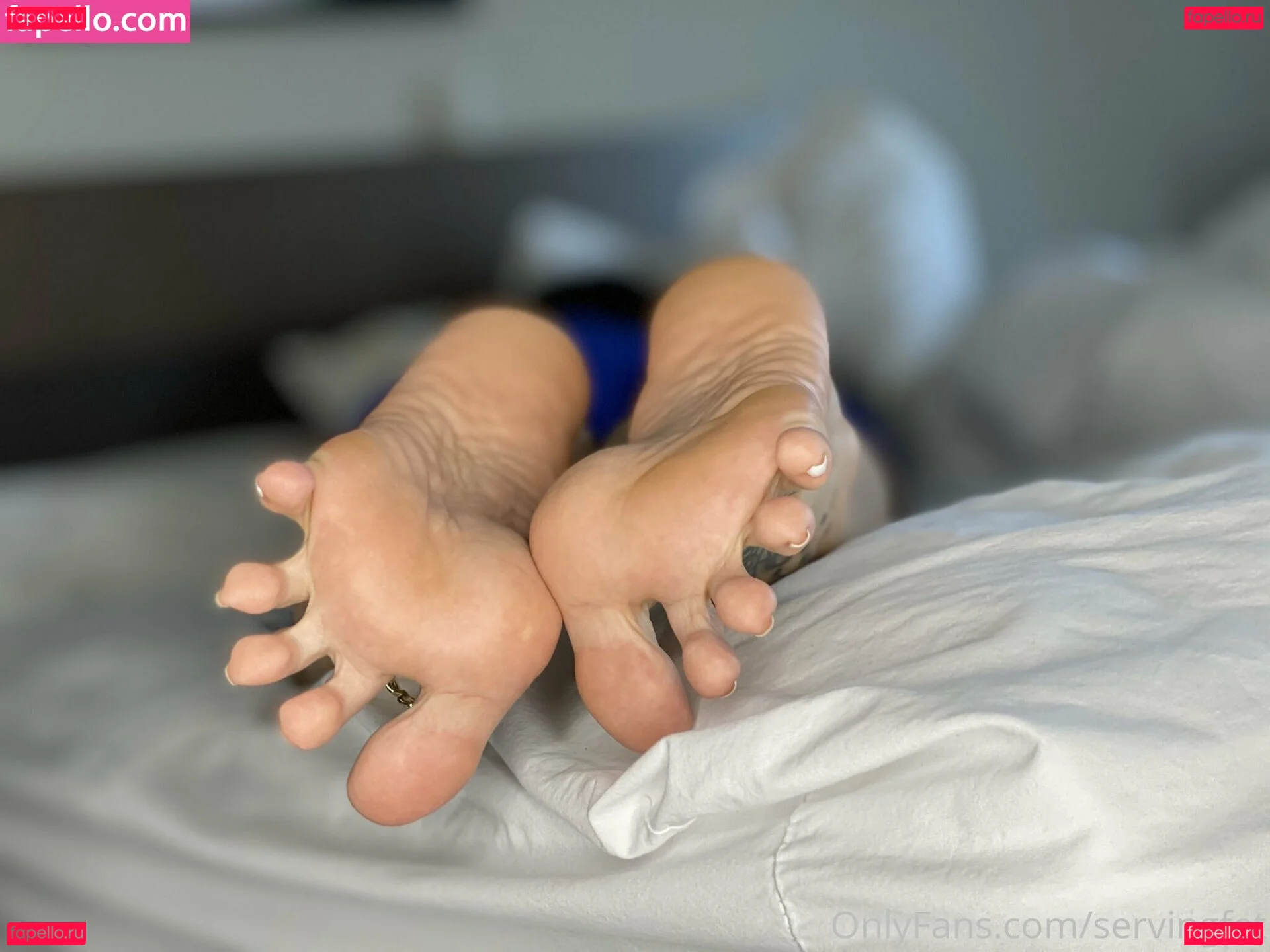 servingfet Onlyfans Photo Gallery 