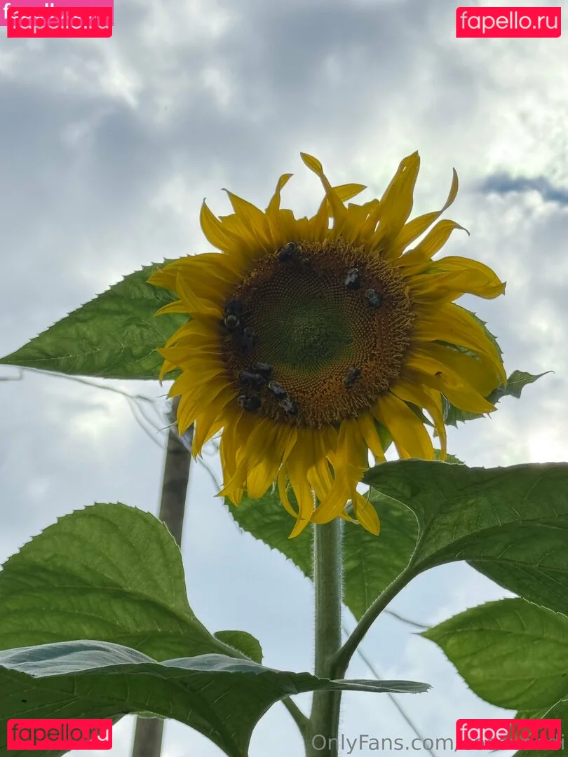 cocovandi Onlyfans Photo Gallery 