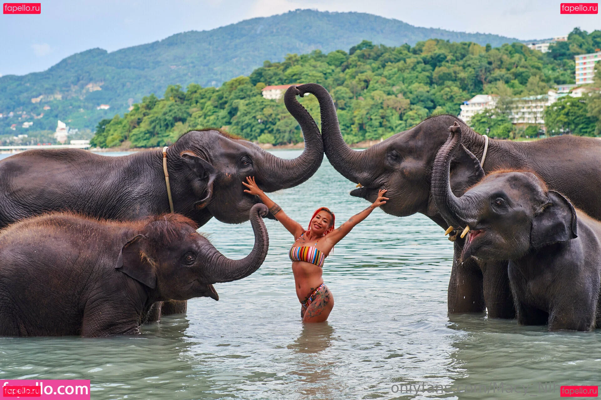 macy_nihongo Onlyfans Photo Gallery 