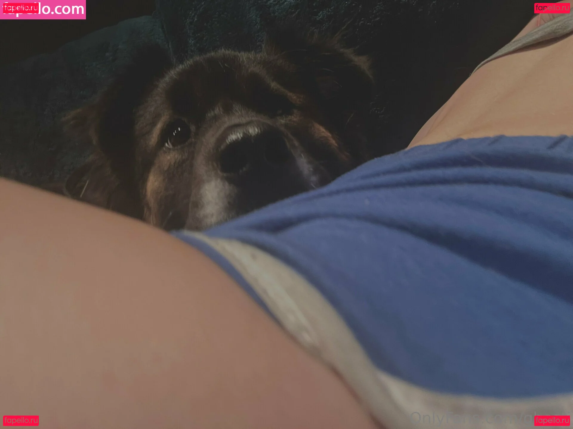 ghosti Onlyfans Photo Gallery 