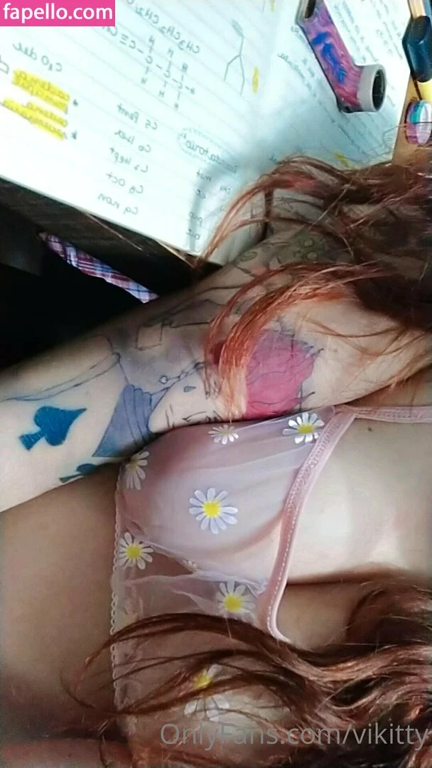 vikitty Onlyfans Photo Gallery 