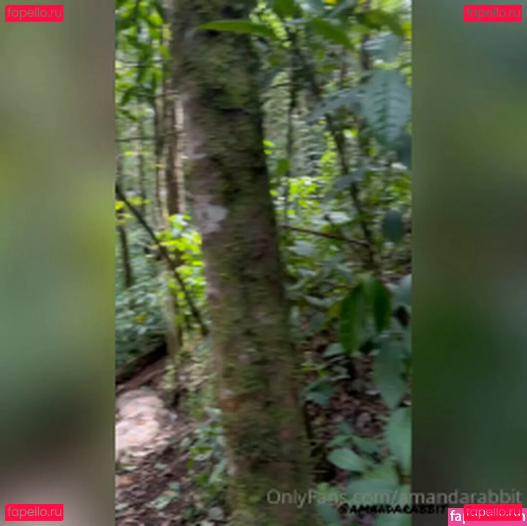 Amanda Rabbit Onlyfans Photo Gallery 