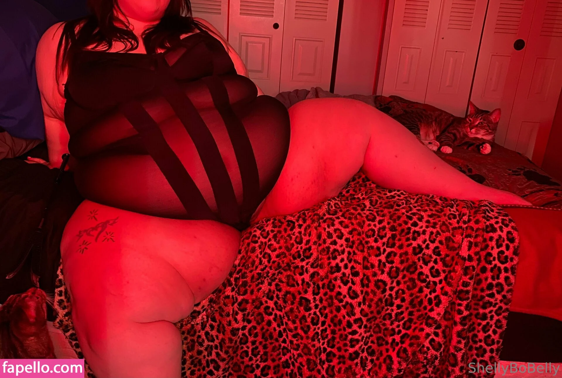 shellybobelly Onlyfans Photo Gallery 