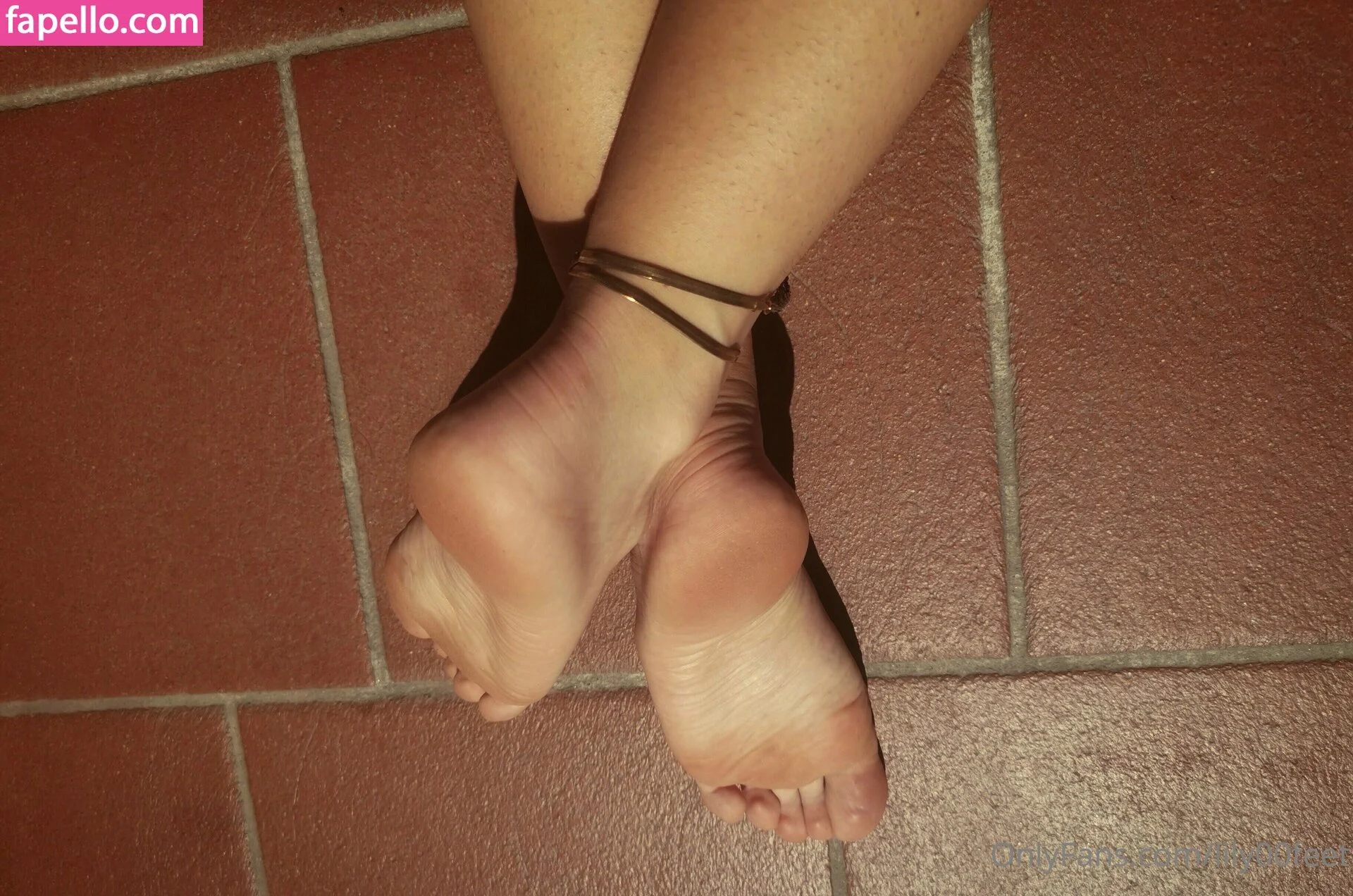 lily00feet Onlyfans Photo Gallery 