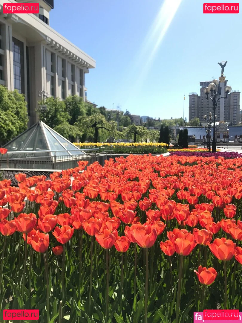 lili_babe Onlyfans Photo Gallery 