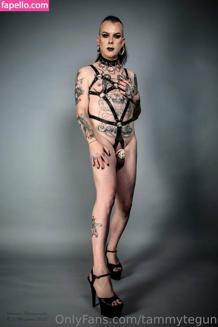 tammytegun Onlyfans Photo Gallery 