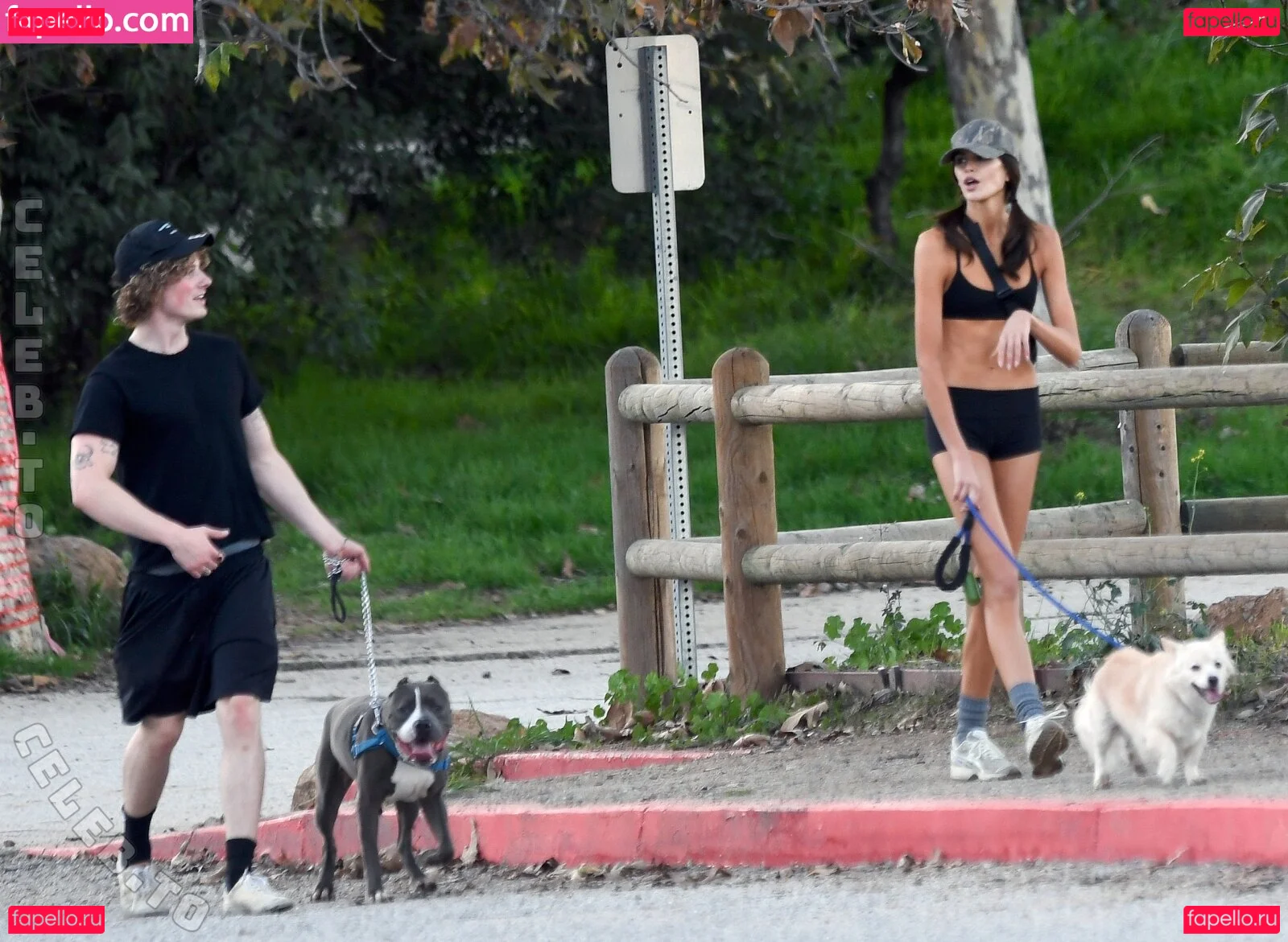 Kiwo Onlyfans Photo Gallery 