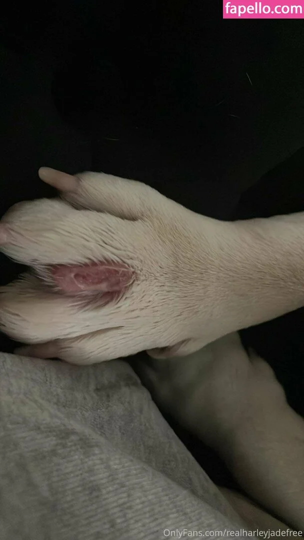 realharleyjadefree Onlyfans Photo Gallery 