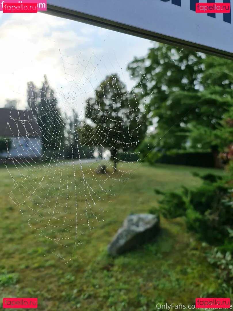 Pikdame Onlyfans Photo Gallery 