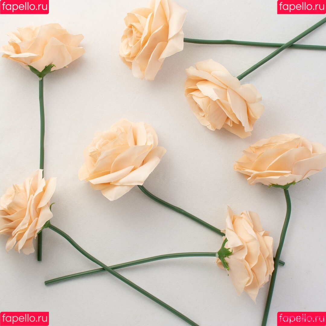 Ashley Rose Onlyfans Photo Gallery 