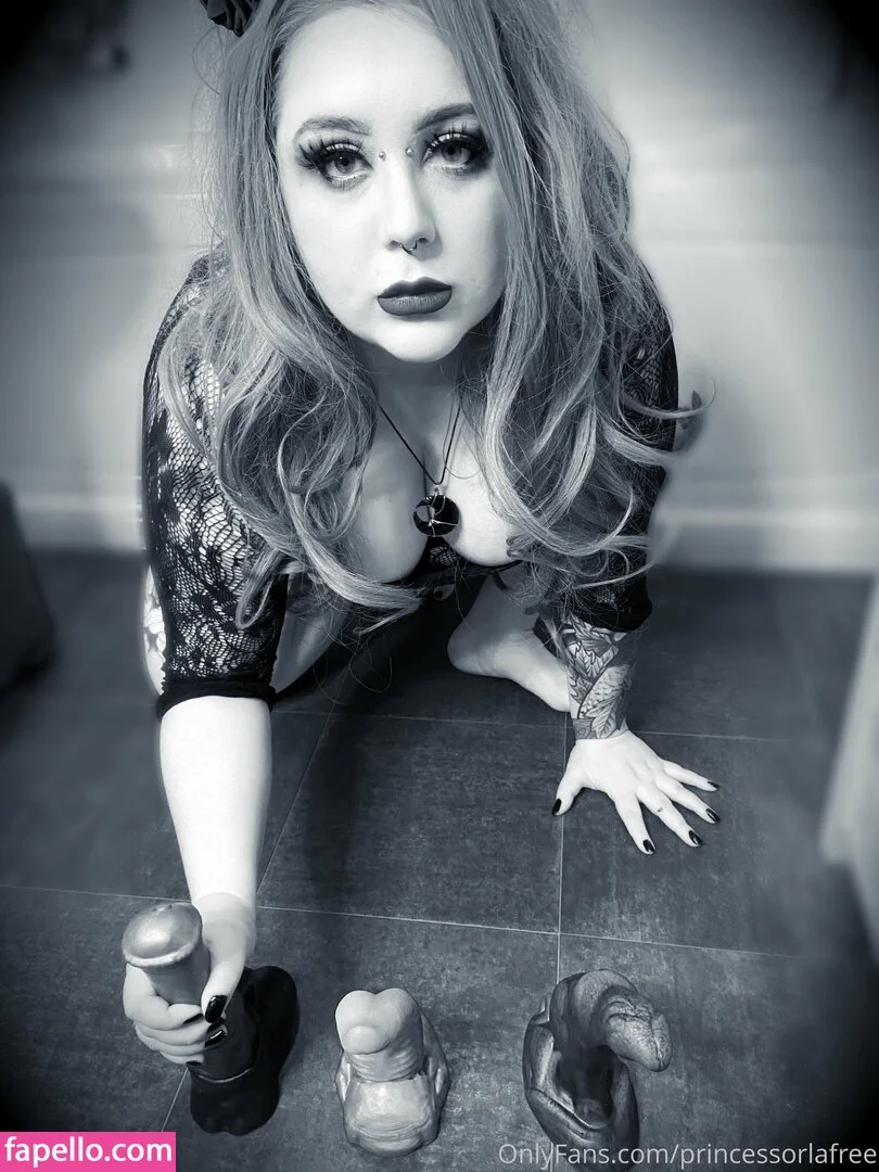 obeyorla Onlyfans Photo Gallery 