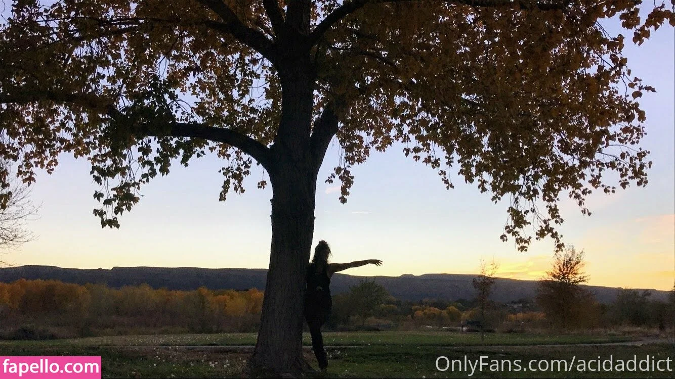 acidaddict Onlyfans Photo Gallery 