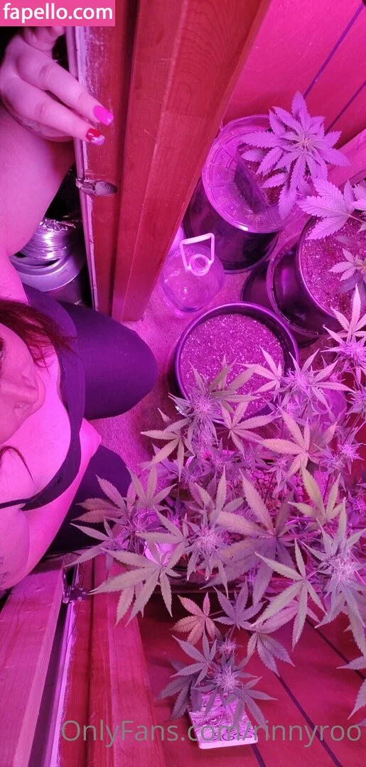 rinnyroo Onlyfans Photo Gallery 