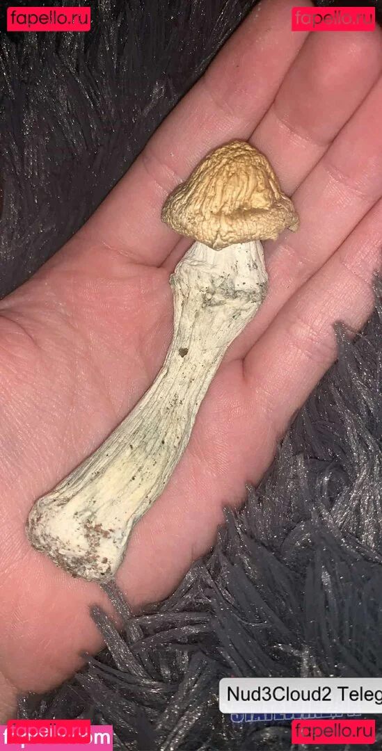 Chloe Mettenbrink Onlyfans Photo Gallery 