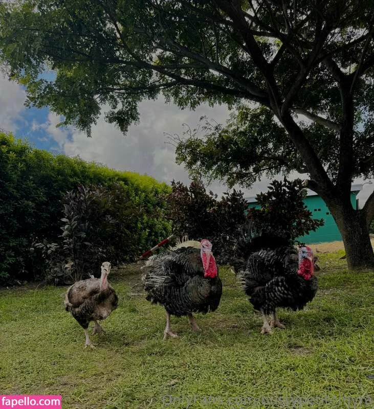 bustypetitemyra Onlyfans Photo Gallery 