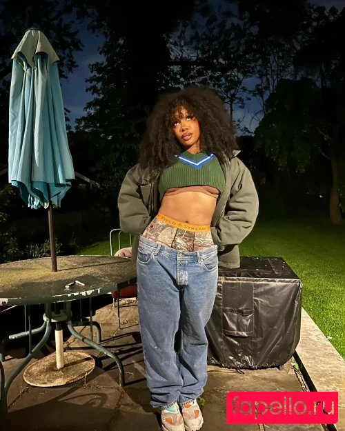 SZA Onlyfans Photo Gallery 