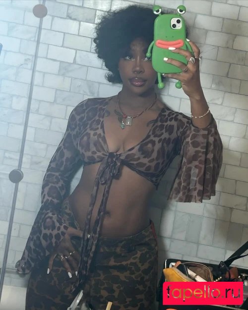 SZA Onlyfans Photo Gallery 